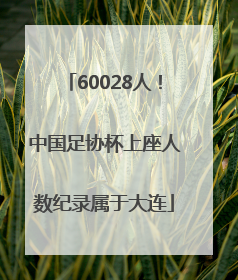 60028人！中国足协杯上座人数纪录属于大连