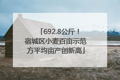 692.8公斤！宿城区小麦百亩示范方平均亩产创新高