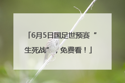 6月5日国足世预赛“生死战”，免费看！