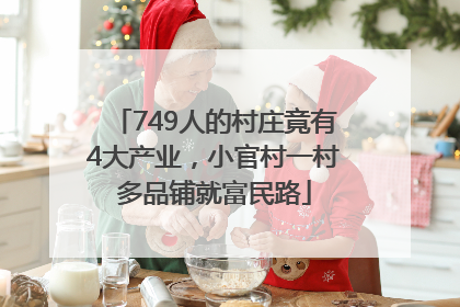 749人的村庄竟有4大产业，小官村一村多品铺就富民路