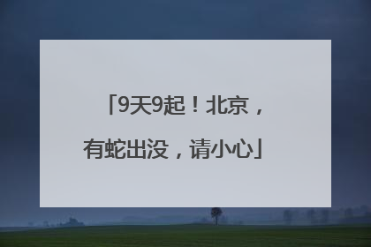 9天9起！北京，有蛇出没，请小心