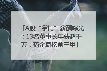 A股“掌门”薪酬曝光：13名董事长年薪超千万，药企霸榜前三甲