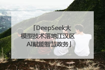 DeepSeek大模型技术落地江汉区 AI赋能智慧政务