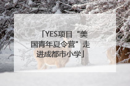 YES项目“美国青年夏令营”走进成都市小学